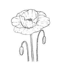 Similar image 22229219