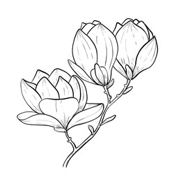 Similar image 22229221