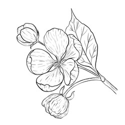 Similar image 22229222