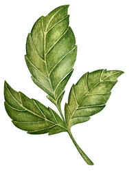 Similar image 22229224