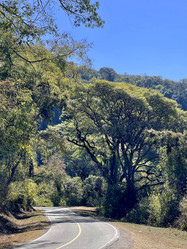 Similar image 22226820