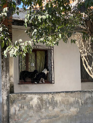 Similar image 22226824