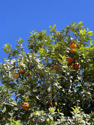 Similar image 22226825