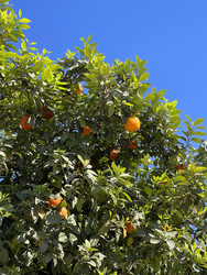 Similar image 22226826