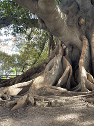 Similar image 22226835