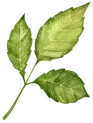 Similar image 22228502