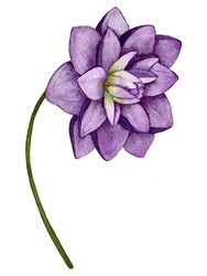 Similar image 22228503