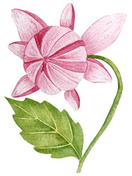 Similar image 22228621