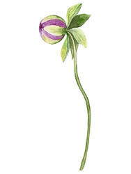 Similar image 22228623