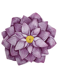 Similar image 22228624