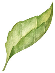 Similar image 22228625