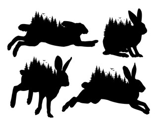 Similar image 22225055