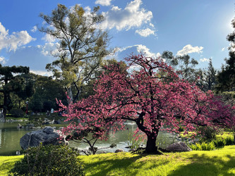 Similar image 22226992