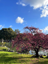 Similar image 22226993