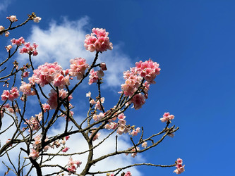 Similar image 22226994