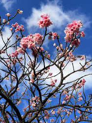 Similar image 22226995