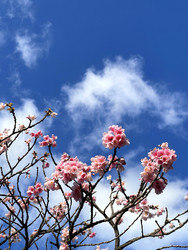 Similar image 22226996