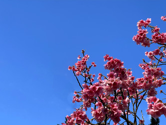 Similar image 22226997