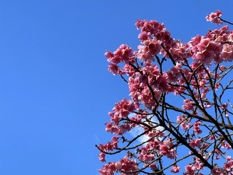 Similar image 22226998