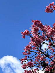 Similar image 22226999