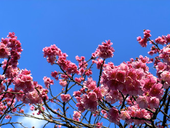 Similar image 22227001