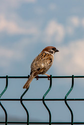 Similar image 22223854