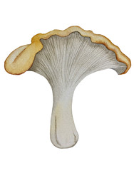 Similar image 22228137