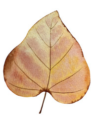 Similar image 22228140