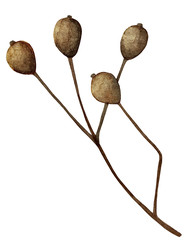 Similar image 22228141