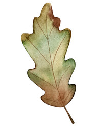 Similar image 22228142