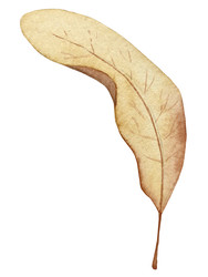 Similar image 22228144