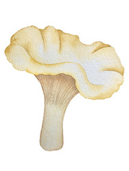 Similar image 22228145