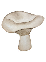 Similar image 22228146