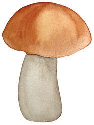 Similar image 22228149