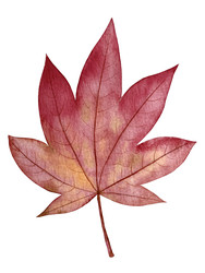 Similar image 22228150