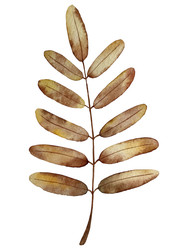 Similar image 22228151