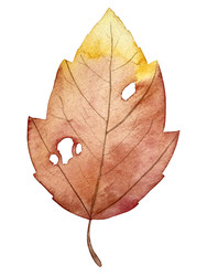 Similar image 22228152