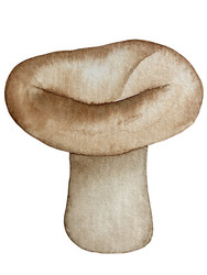 Similar image 22228154