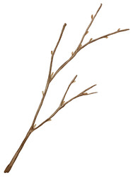 Similar image 22228506