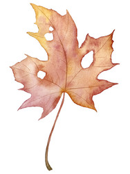 Similar image 22228508