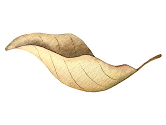 Similar image 22228509