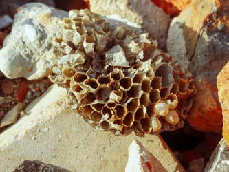 Similar image 22224021