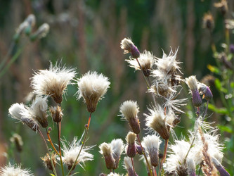 Similar image 22224022