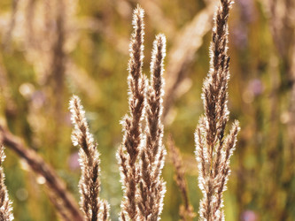 Similar image 22224024