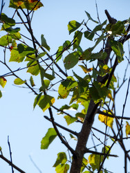 Similar image 22224026