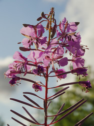 Similar image 22224027