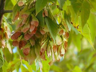 Similar image 22224028