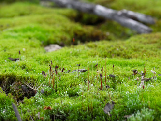 Similar image 22224029