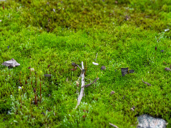 Similar image 22224030