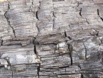 Similar image 22224031